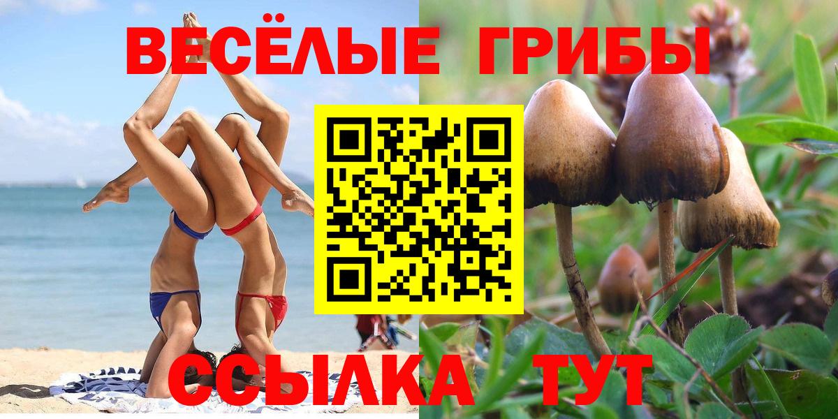 Галлюциногенные грибы Cubensis Кыштым