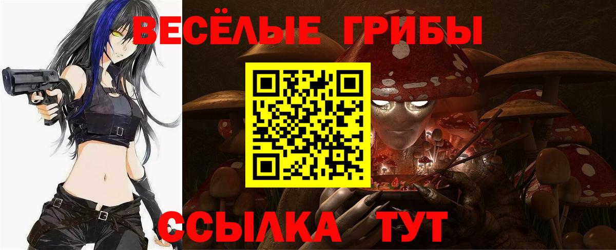 Галлюциногенные грибы MAGIC MUSHROOMS  Вход с VPN  Кыштым 